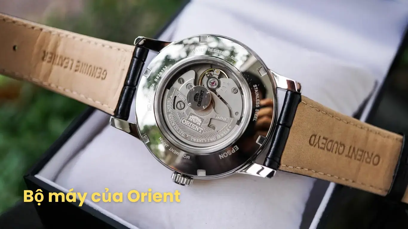 Bộ máy của Orient