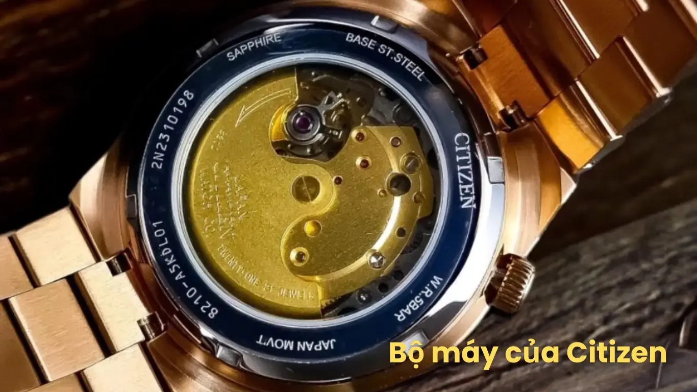 Bộ máy của Citizen